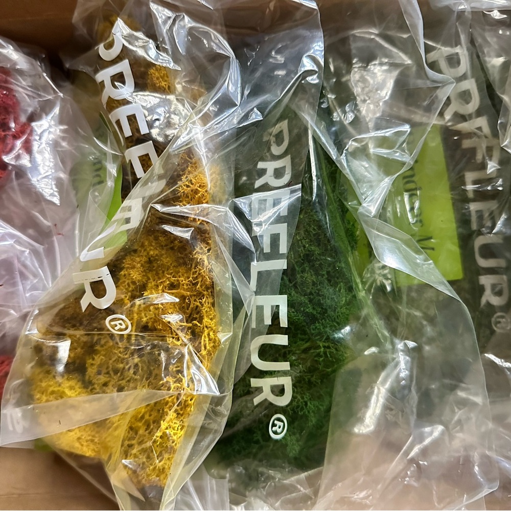 Colorful Decorative Moss Set - Picture 2 of 2